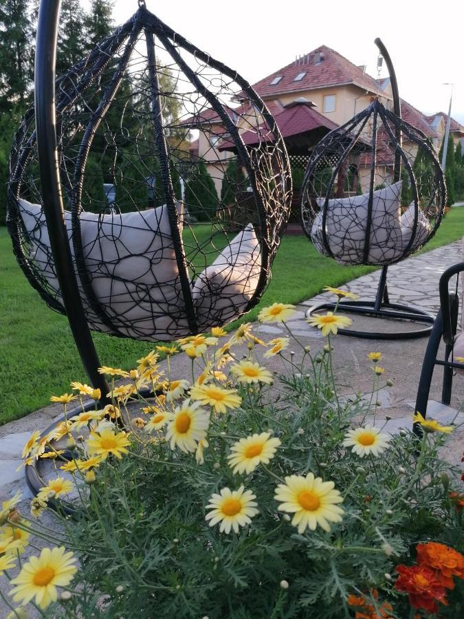 Apartmani Nika Златибор Екстериор снимка