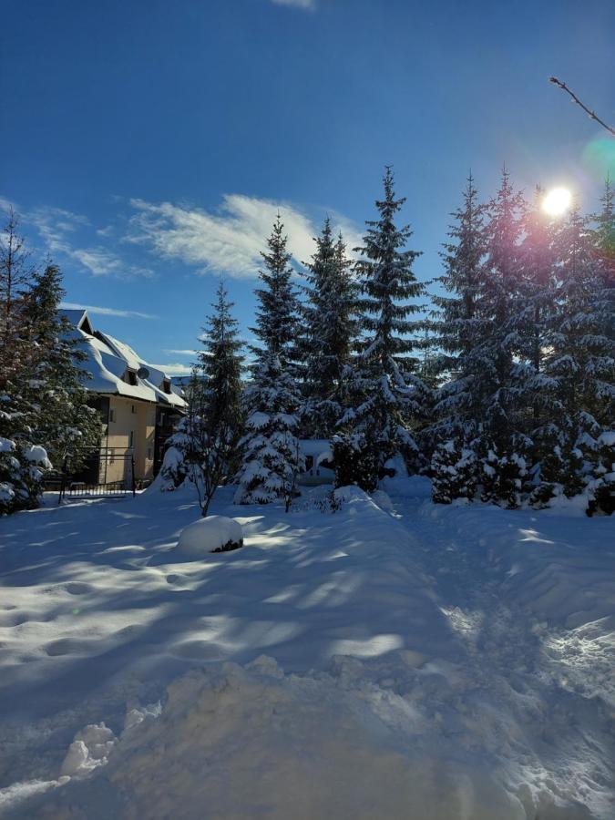 Apartmani Nika Златибор Екстериор снимка