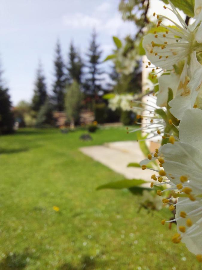 Apartmani Nika Златибор Екстериор снимка